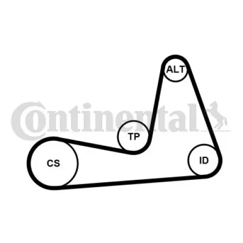 ZESTAW PASKA KLINOWEGO WIELOROWKOWEGO CONTINENTAL CTAM 6PK1130K1 7701478717 - Szybka dostawa