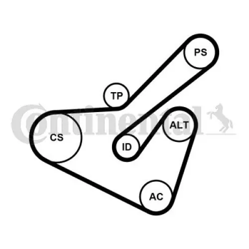 Hit sprzedaży | ZESTAW PASKA KLINOWEGO WIELOROWKOWEGO CONTINENTAL CTAM 6PK1725K2 K016PK1725 CITROEN PEUG