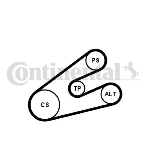 Cena producenta | ZESTAW PASKA KLINOWEGO WIELOROWKOWEGO CONTINENTAL CTAM 6PK1453K1 K016PK1453 CITROEN PEUG