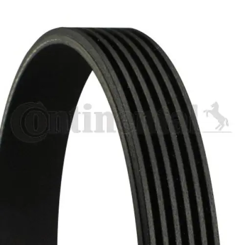 Bestseller | PASEK WIELOROWKOWY CONTINENTAL CTAM 6PK2205 6PK2203