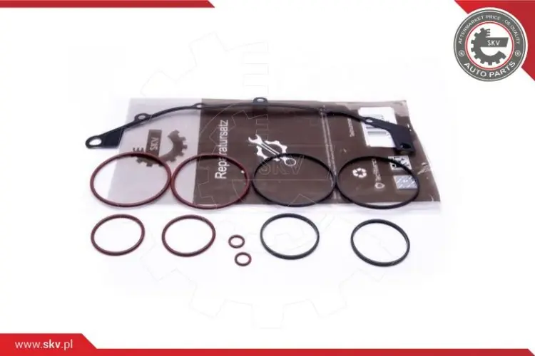 ZESTAW NAPRAWCZY BMW Z3 E36 E38 E39 E46 E60 E61 E6 | Oferta specjalna