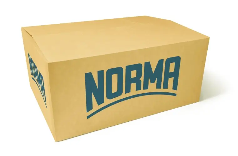 OBEJMA NORMA FBS 32/12 Z OPASKĄ SPRĘŻYNOWĄ 32/12 | Zamów online